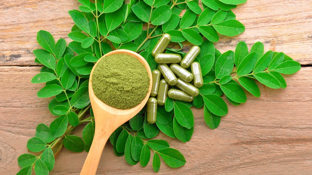 moringa em po