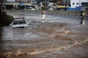 Além das Margens: Impactos Profundos e Inesperados dos Eventos Inundativos 7